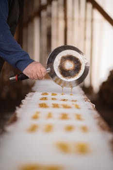 Hand pouring maple syrup on snow in Québec, highlighting traditional candy making.